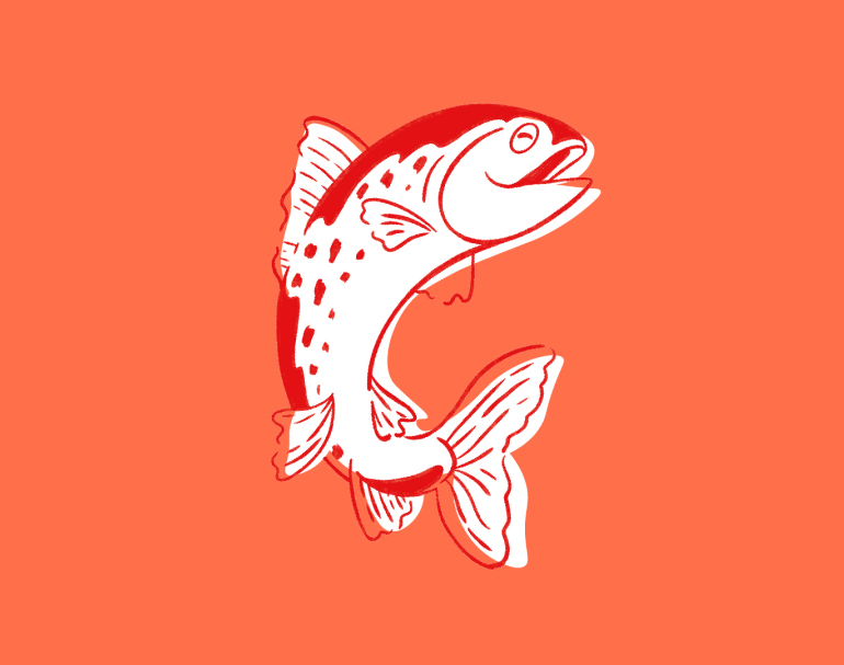 pixelarte-diseno_grafico-identidad_corporativa-burbur-illustracion_salmon