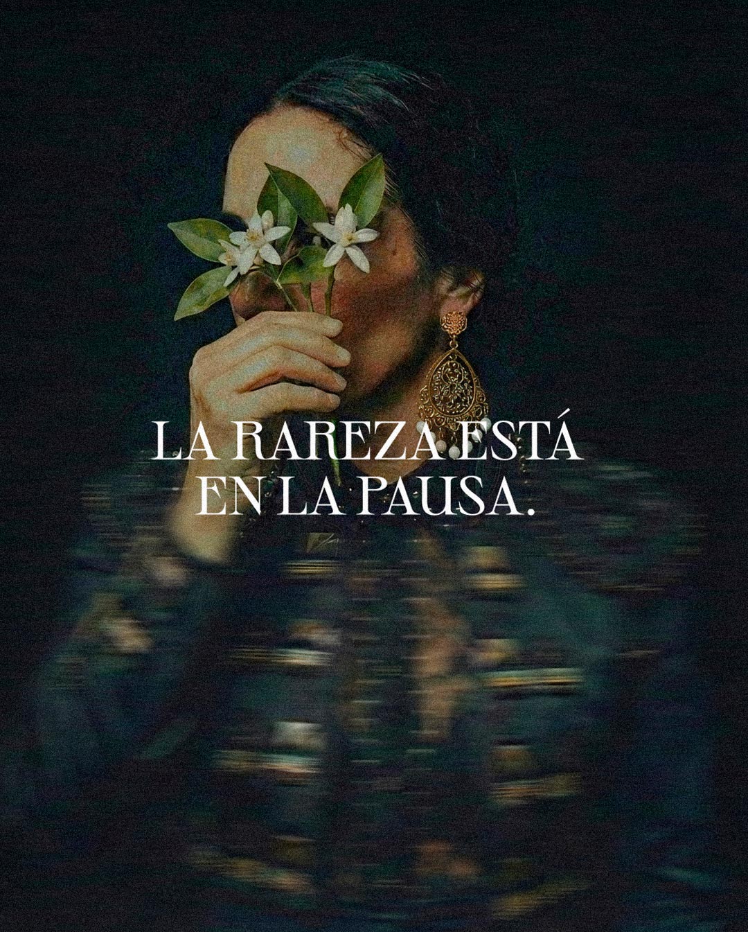 Pixelarte Design Studio - Gráfica para la etiqueta de la ginebra Sierpes